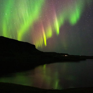 陈美娇花园大酒店一打七
