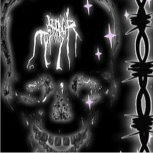 陈美娇花园大酒店一打七
