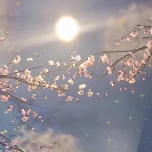 陈美娇花园大酒店一打七
