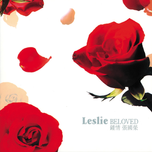 陈美娇花园大酒店一打七
