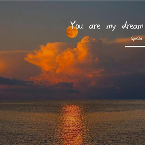 陈美娇花园大酒店一打七
