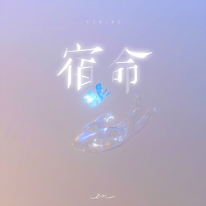 陈美娇花园大酒店一打七
