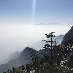 陈美娇花园大酒店一打七
